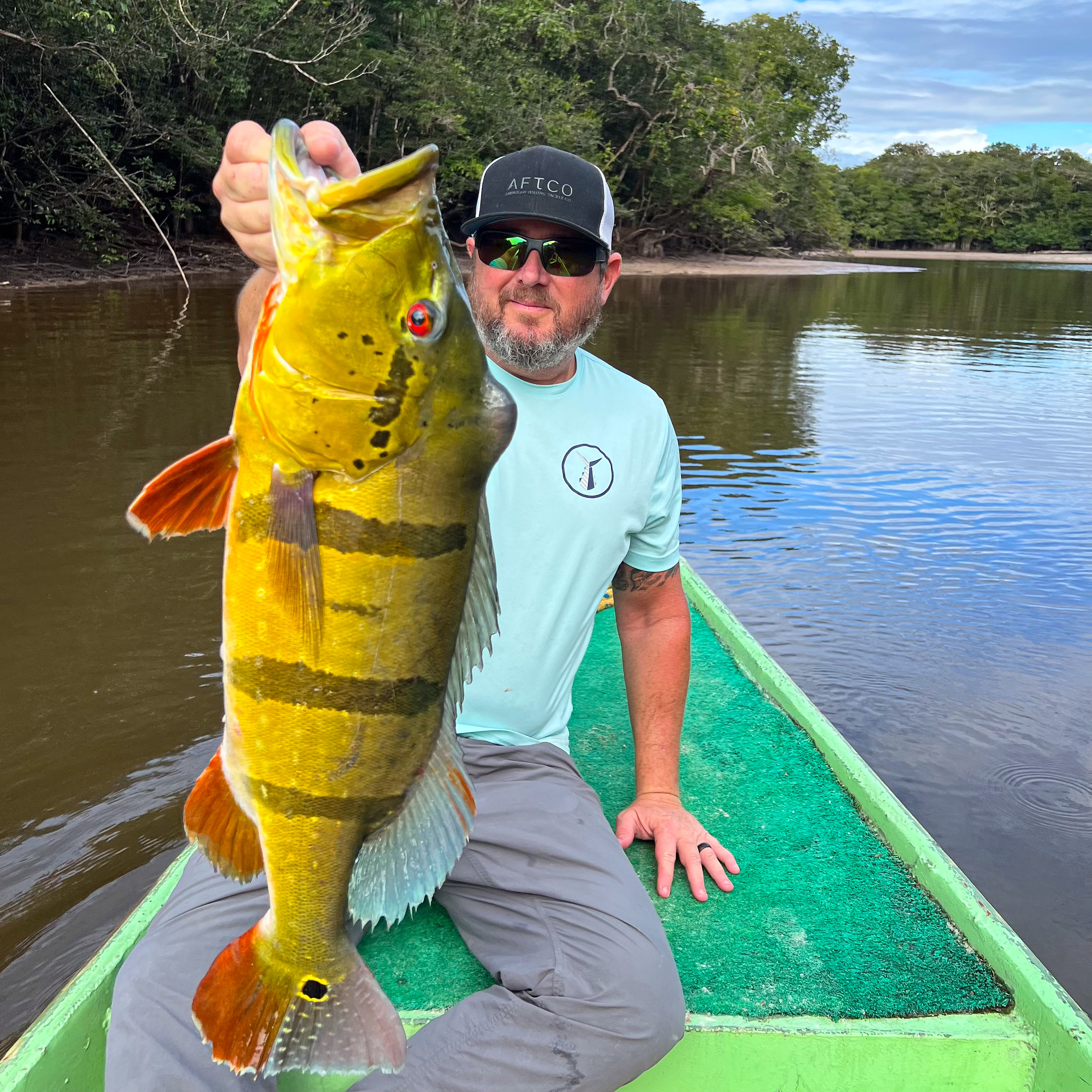 Peacock Bass